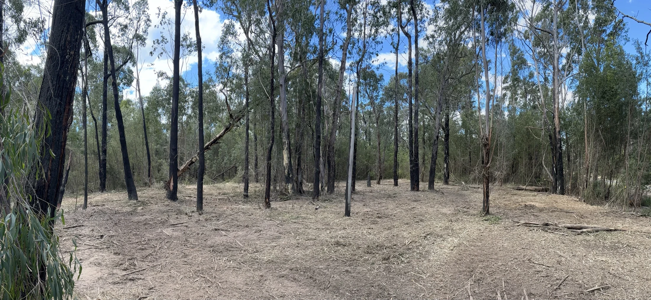 East Vic Land Management - IMG_3391 002