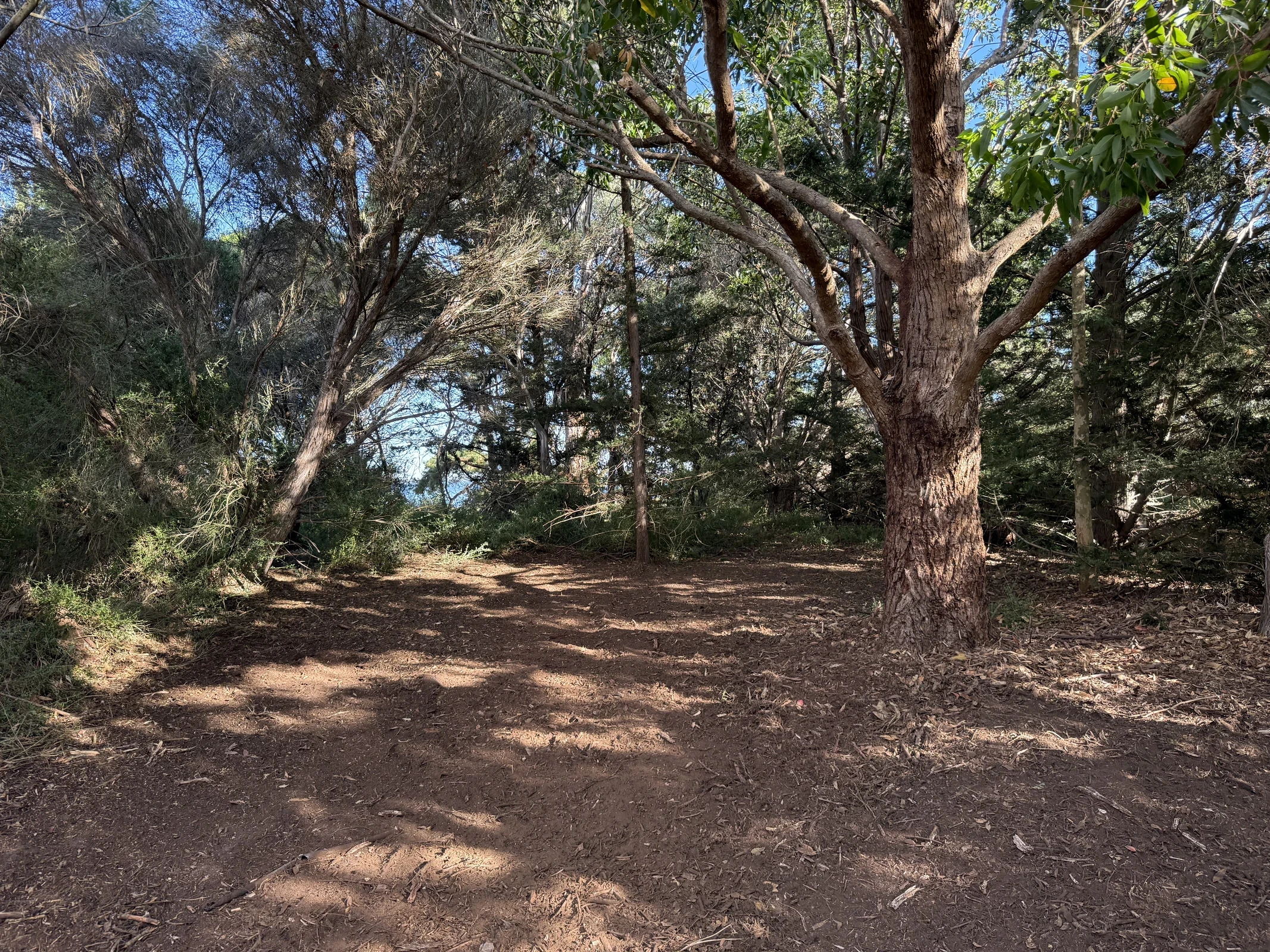 East Vic Land Management - East Vic Land Management April 2025 1