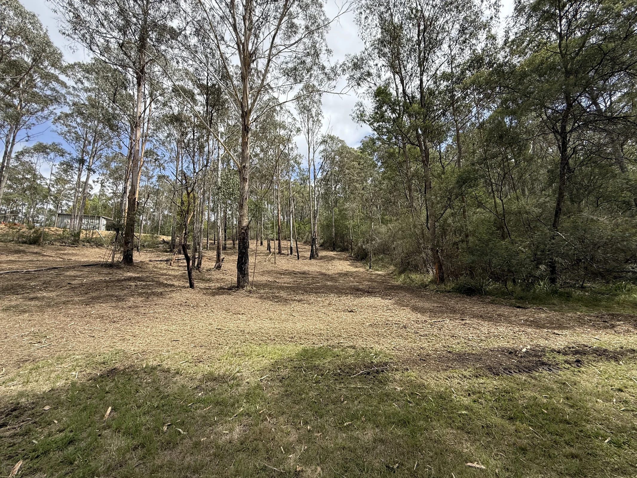 Professional Land Clearing Service