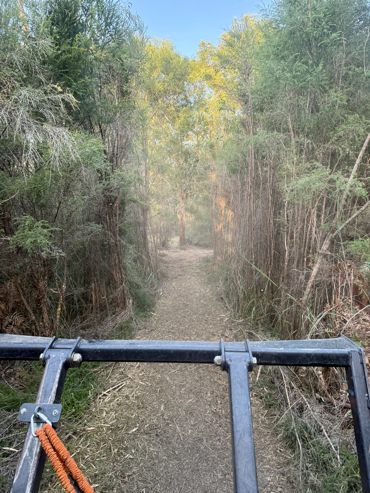 Fire Break maintenance and construction
