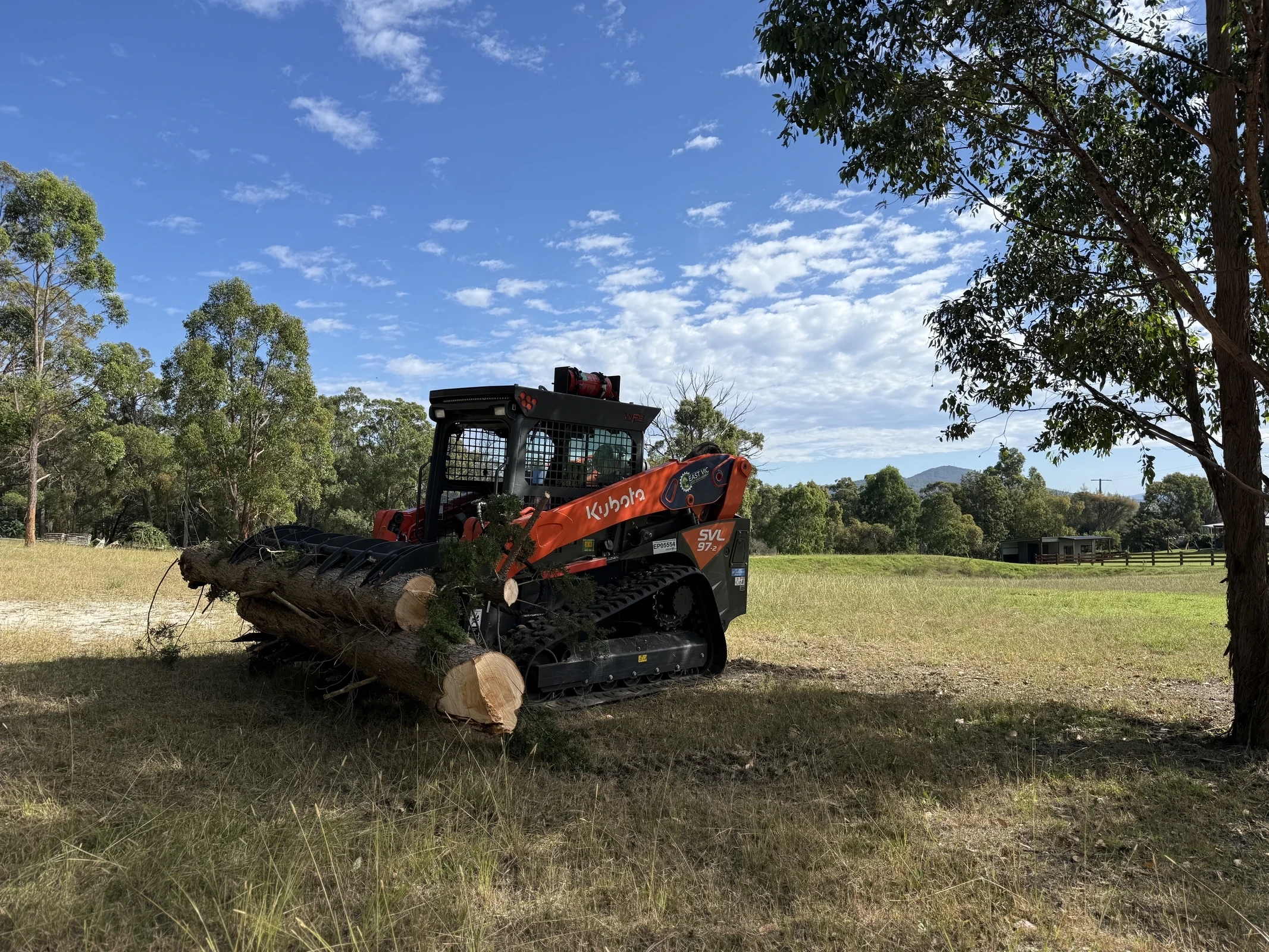 Professional Tree Removal Service