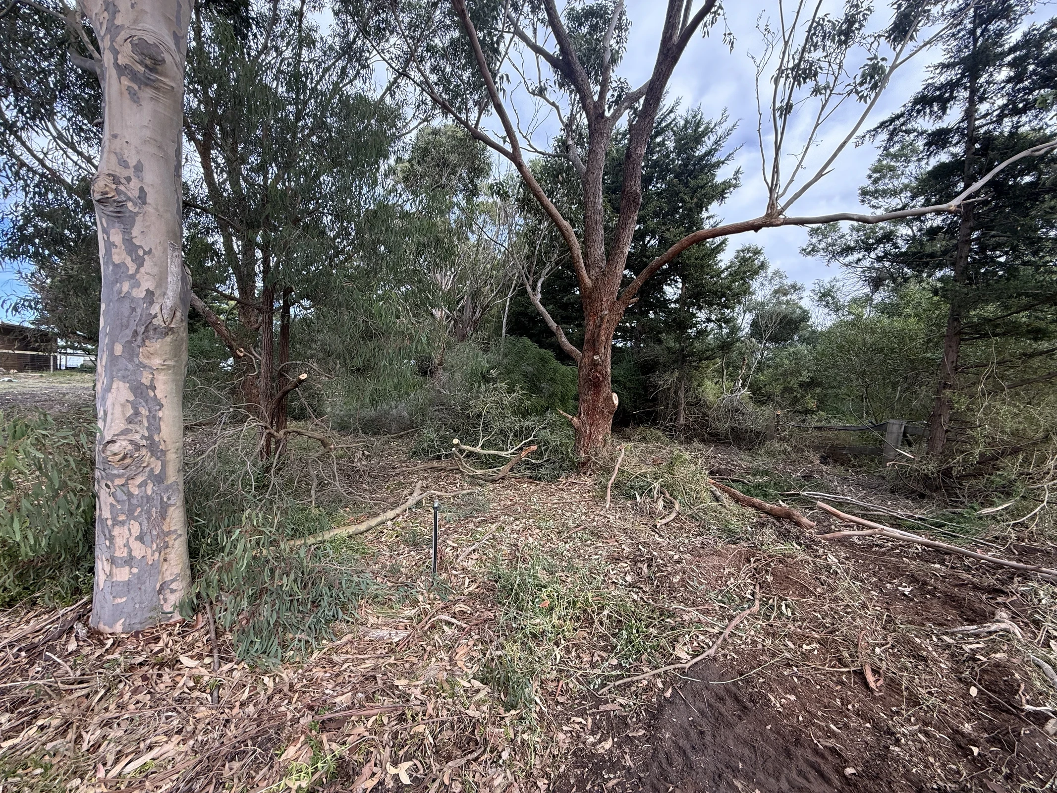 Vegetation management landscape
