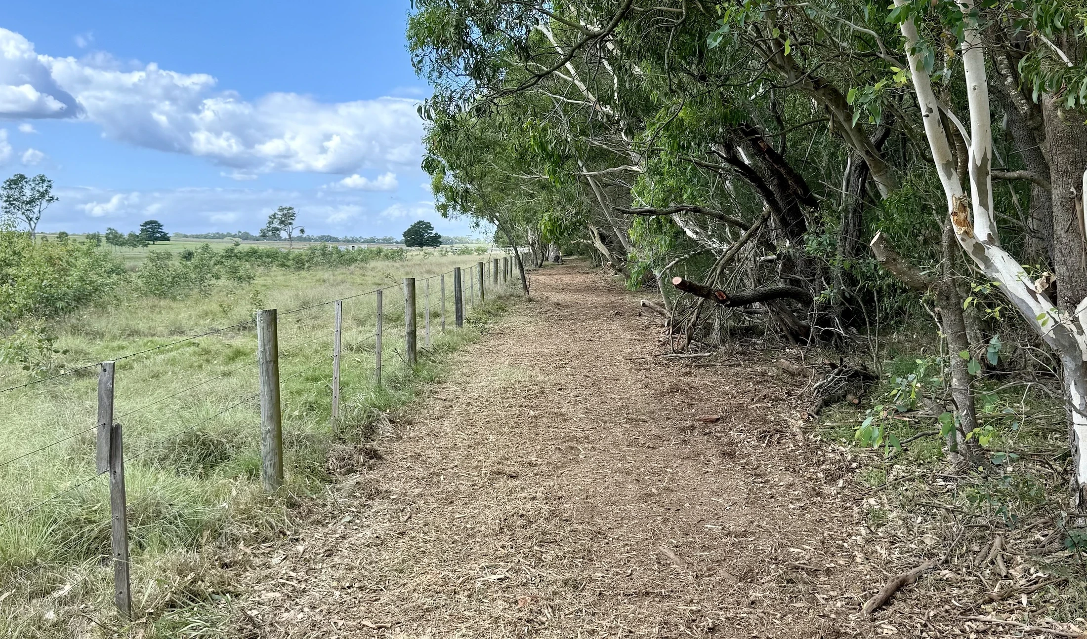 Creating fire breaks in bushland