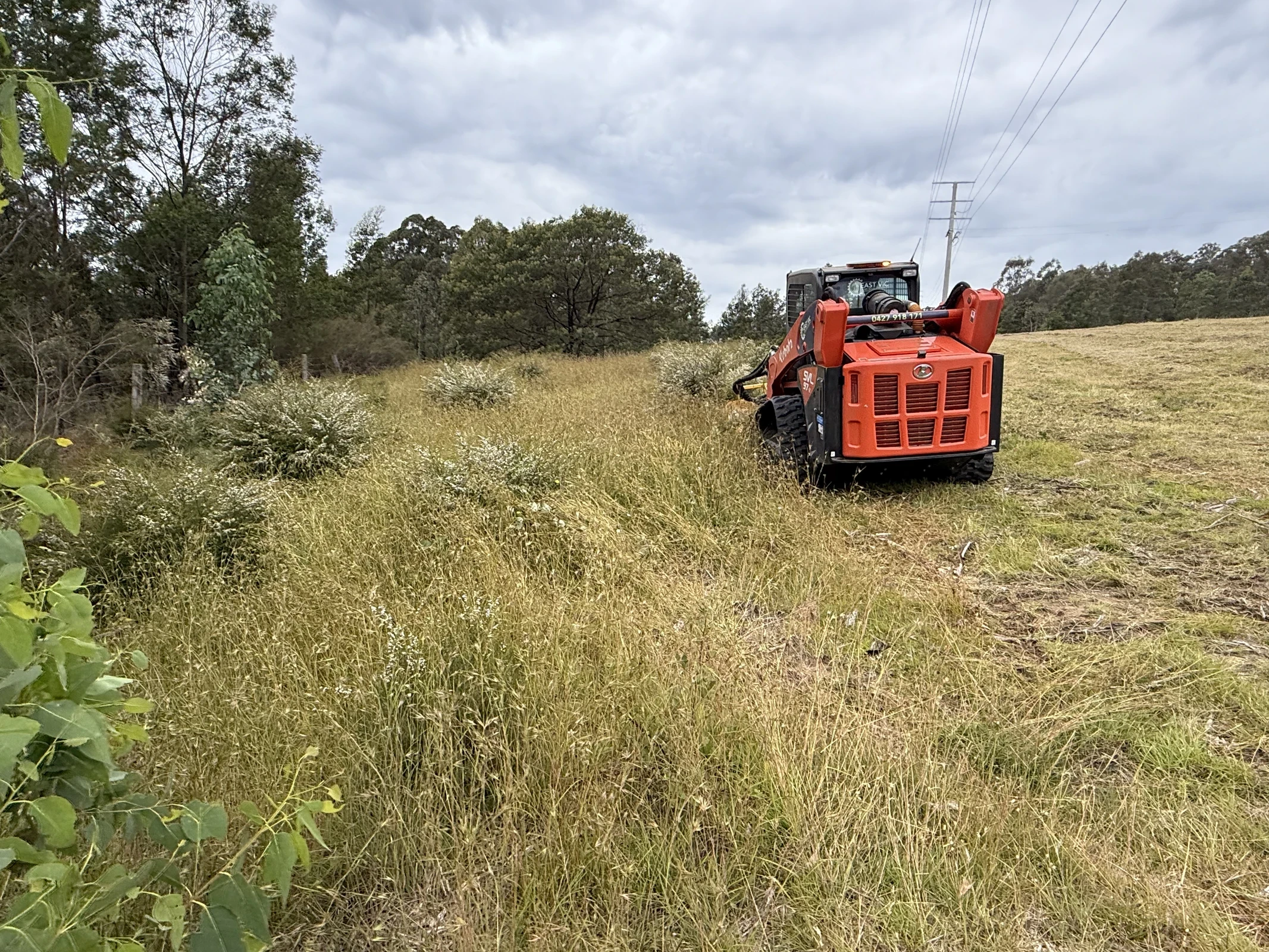 Clearing around power lines