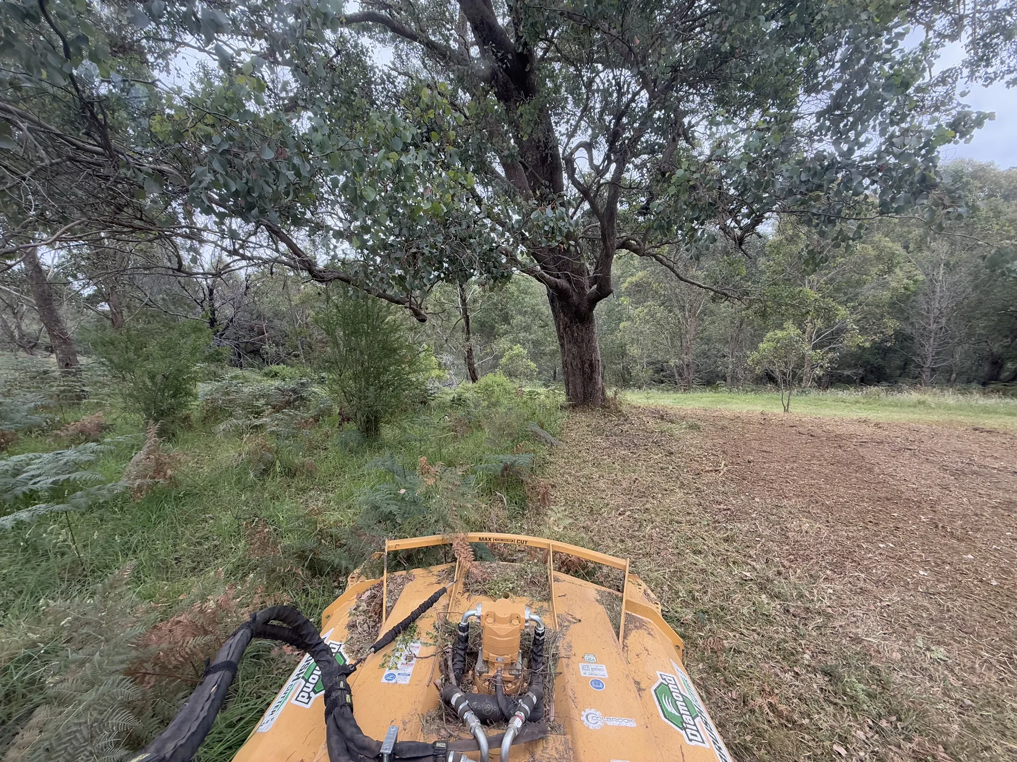 Fire hazard reduction near property