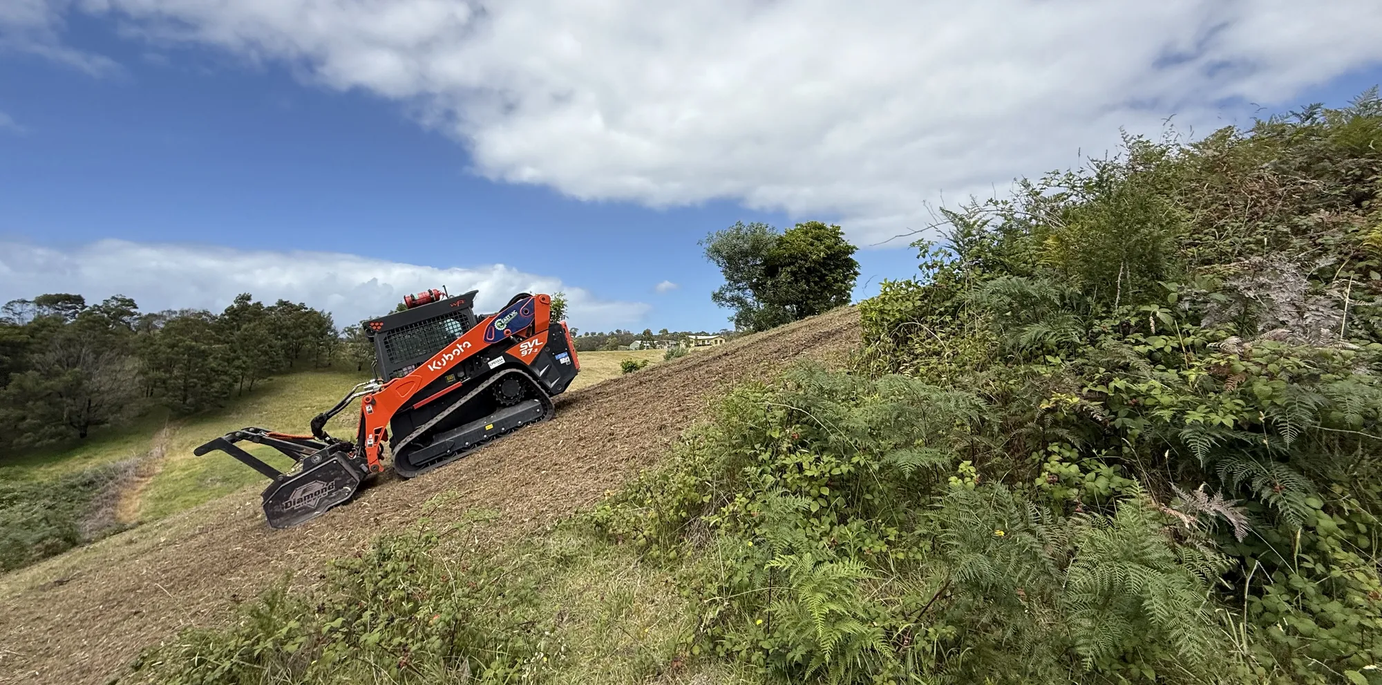 Vegetation management on rural property