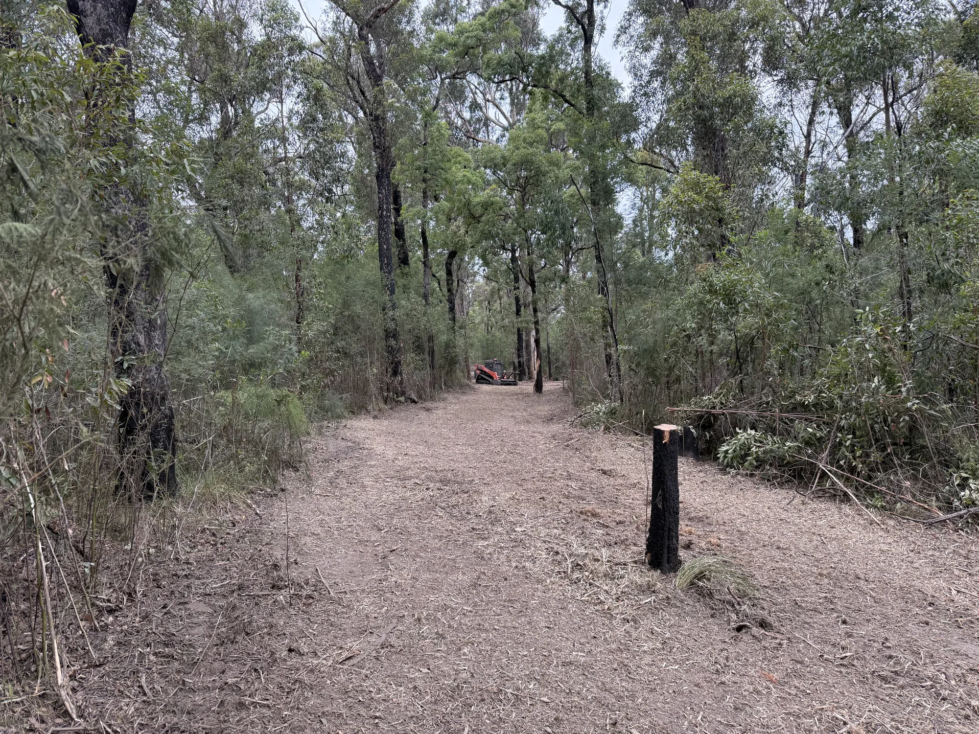 Fire Break construction through bushland